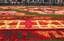 Du khách đổ về Brussels chiêm ngưỡng thảm hoa khổng lồ 